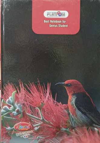 Ajanta Notebook 320 Pages Hardbound