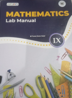 Curio Mathematics Lab Manual Class 9