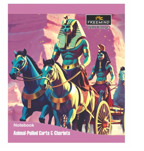 Freemind NRI Range Notebook, Single Line 124 Pages, Pack of 6