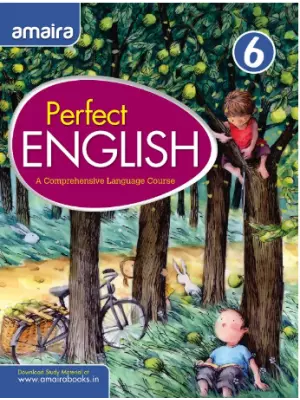 Amaira Perfect English Class 6
