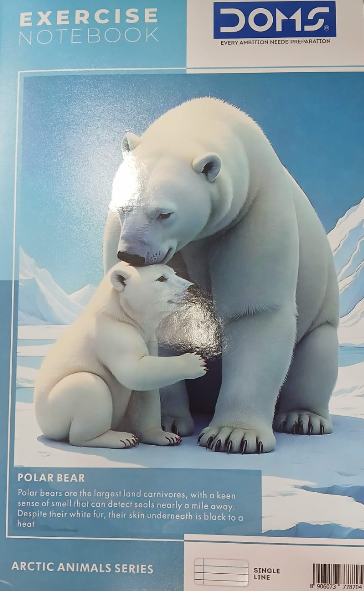 Doms Exercise Notebooks 232 Pages Single Line