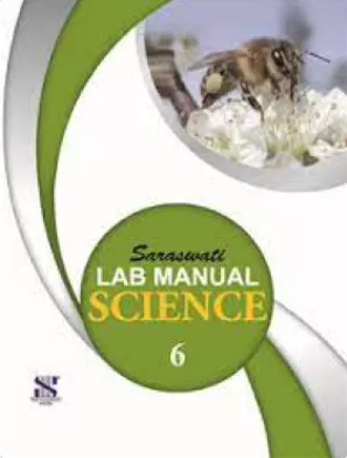 New Saraswati Saraswati Lab Manual Science Class 6