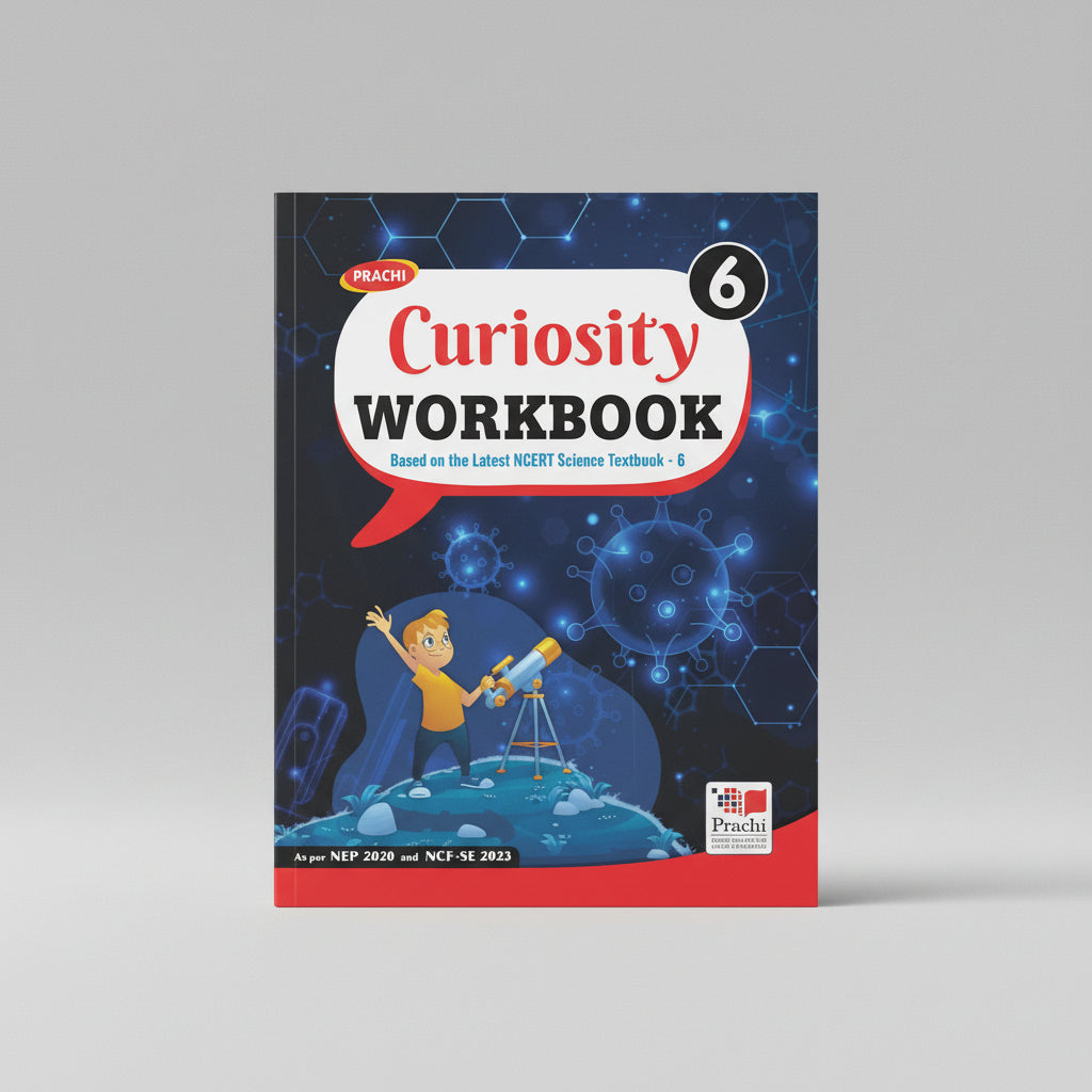 Prachi Curiosity Workbook Class 6
